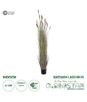 GloboStar® Artificial Garden BROWN LAGURUS 21103 Διακοσμητικό Φυτό Καφέ Λαγοουρά Υ180cm